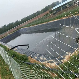 Tùy chỉnh không thấm nước <span class=keywords><strong>geomembrane</strong></span> EPDM HDPE lót cuộn chống thấm <span class=keywords><strong>geomembrane</strong></span> ban đầu ẩm ướt bằng chứng <span class=keywords><strong>geomembrane</strong></span> cho nền tảng - Product Image 5