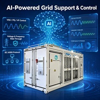 Unidad de Transformador PCS Integrada Inedge Power 1250-5000kW, Inversor Conectado a la Red de 690Vac con Elevación de Tensión 0.69kV-35kV, Certificado IEC/UL BESS