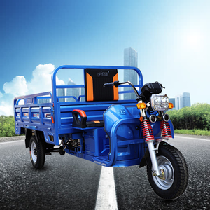 Tricycles électriques fermés personnalisés pour adultes, 3 roues, avec portes mini, pour 3 passagers, performance améliorée, accès avant - Product Image 1