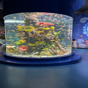 Chiaro vetro trasparente di grandi dimensioni tubo acrilico acquario acquario acquario acrilico acquario cilindrico per la vendita - Product Image 5