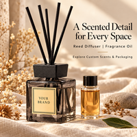 Diffuseur carré en verre à bâtonnets de rotin parfumés, sans flamme, écologique et sûr, pour la maison, la salle de bain et le bureau