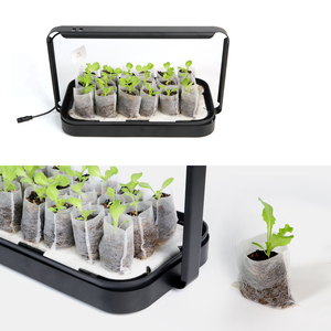 Bolsas <span class=keywords><strong>de</strong></span> plántulas no tejidas degradables ecológicas <span class=keywords><strong>de</strong></span> Color blanco PE Plantación <span class=keywords><strong>de</strong></span> <span class=keywords><strong>aguacate</strong></span> Bolsa <span class=keywords><strong>de</strong></span> vivero <span class=keywords><strong>de</strong></span> plástico bolsas <span class=keywords><strong>de</strong></span> cultivo para plantas - Product Image 5