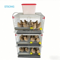 Cage d'élevage de cailles à grande capacité de type H à 3 étages, en treillis métallique galvanisé, empilable, avec système d'alimentation automatique pour cages à oiseaux