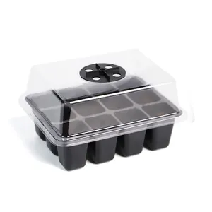 small home microgreens wheatgrass germinating plastic seed trays for microgreens