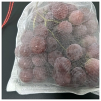 100% Nieuwe PE Beschermende Mesh Zakjes 20x30cm Niet-toxisch Duurzaam Anti-Insecten Net voor Fruit Guave & Mango