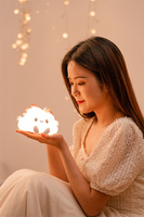 Jouets en silicone mignons pour enfants, lampe de chevet en forme de nuage pour chambre à coucher, lumière de table rechargeable, cadeau, type tactile, nuage, lampe de chevet pour chambre d'enfant, lumière de nuit LED