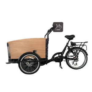 家庭3轮nexus gear欧洲仓库货运自行车，带踏板辅助中间电机雨罩