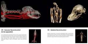 Système vétérinaire Cone Beam <span class=keywords><strong>CT</strong></span> CBCT <span class=keywords><strong>Prix</strong></span> de la machine de tomodensitométrie vétérinaire portable pour animaux de compagnie - Product Image 4