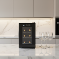 Réfrigérateur portable pour la maison, cave à vin pour 6 bouteilles, refroidisseur à vin, cuisine, bureau, refroidisseur à vin