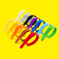 12 pièces/ensemble Pet Identification câble cravate mode dos à dos crochet et boucle sangle chiot ID collier cou dentelle