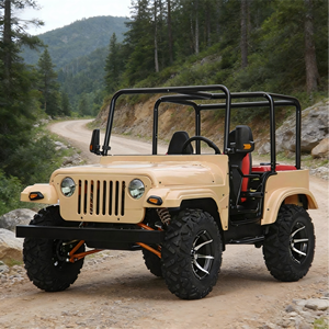 Promotion Véhicule tout-terrain 4x4 à 2/4 places, Buggy, Kart, Voiturette de golf, Jeep, Moteurs 125cc 150cc 200cc 300cc 350cc 400cc, Essence, Pour adultes - Product Image 1