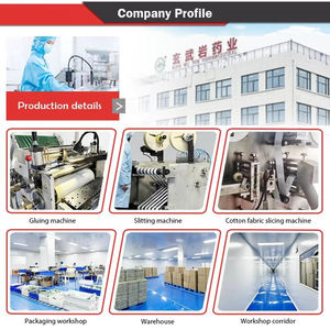 Patch antidouleur à base de plantes, huile d'eucalyptus, camphre, <span class=keywords><strong>menthol</strong></span> pour soulager les douleurs musculaires/arthritiques du dos, usage corporel, adhésif médical élastique pour la peau - Product Image 4