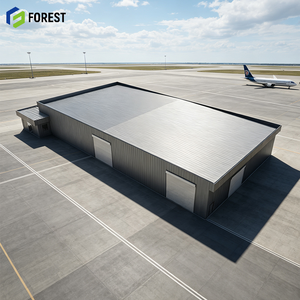 Hangar Modular de Acero Industrial a Prueba de Terremotos, Estructura de Gran Capacidad para Depósito de Aviones - Product Image 1