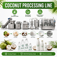 Turnkey project multifunctionele sapmachine professionele automatische ananas mango citrus sapverwerkingsinstallatie