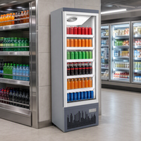 Vitrine réfrigérée verticale à porte vitrée simple, modes de refroidissement et de congélation, contrôle intelligent de la température pour usage commercial
