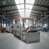 Nouvelle ligne de production de frites électriques, ligne de production avancée pour frites