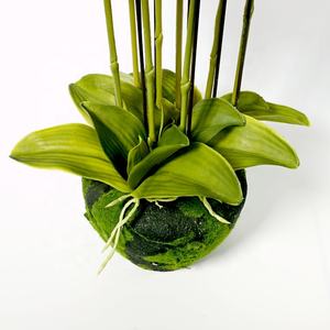 QiHao ดอกไม้ยางเทียมดอกกล้วยไม้8ก้านสำหรับจำหน่าย,ดอกกล้วยไม้ปลอมระบบสัมผัสเหมือนจริง - Product Image 4