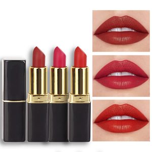 Matte <b>Lipstick</b> Vegan Nude Waterproof Matte - Product Image 1