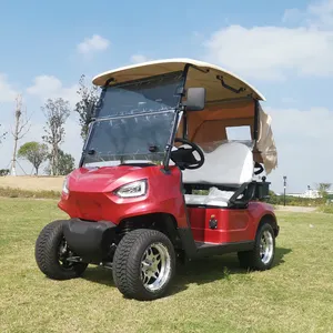 Versatile Wholesale 2 seater mini golf cart For Great Golfing