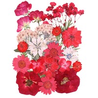 Kit de fleurs séchées pressées multi-tailles pour bricolage, matériel fait main pour moule en résine, décoration de coque de téléphone, confettis de mariage