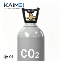 Dióxido de Carbono CO2 Electrónico de Grado 99.9999% 6N para Limpieza de Semiconductores y Procesos CVD PECVD