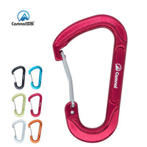 Mosquetón de escalada de aluminio <span class=keywords><strong>en</strong></span> forma de <span class=keywords><strong>D</strong></span> Camnal de 60mm, nuevo estilo con logotipo personalizado, gancho pequeño, mosquetones a presión - Product Image 1