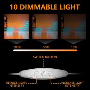 Ice Hockey Letreros Neon LED dimmable USB powered ambient <b>light</b> store <b>window</b> decoration <b>light</b> street indicator <b>light</b> Customized - Product Image 2