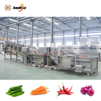 1000kg/u wassysteem voor radijs, kiwi, kool en fruit; inclusief sorteerlijn