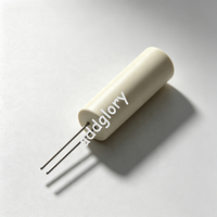 Sonde de température RTD à manchon céramique 2Pt100 série MR828, 32209343, -70~+500 ℃   Élément de détection en platine à double film mince pour assemblage de sonde industrielle
