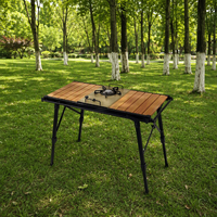 Table pliante en aluminium pour l'extérieur, table de camping portable, table de pique-nique, table de barbecue, table de cuisine mobile IGT