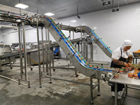 Machine de Production de poissons en étain, ligne de Production de thon, sous vide
