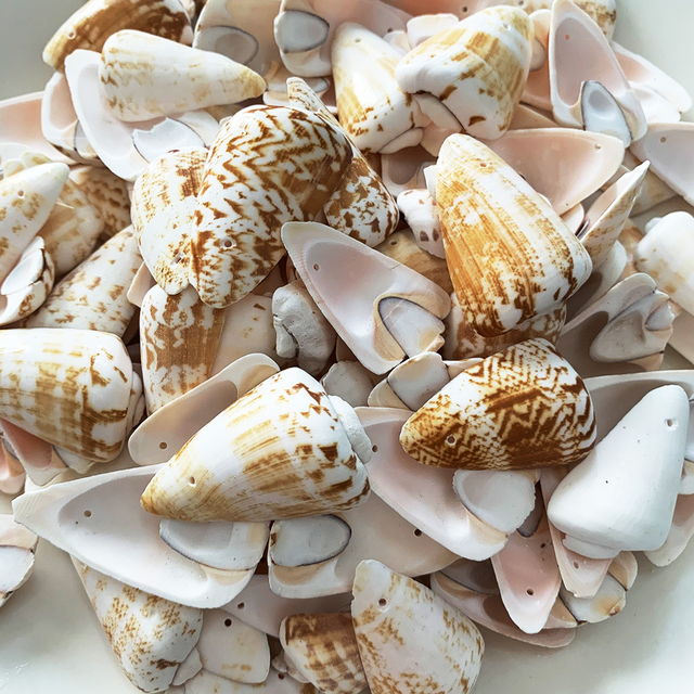 15pcs Natural Drilled Conch Shell Slices Bulk 2-3 Inch, Spotted Seashell Chips Coastal Home Decor Ocean DIY Craft Accessories
