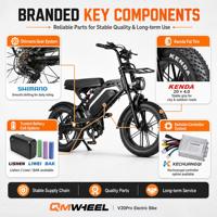 Vélo électrique à pneus larges QMWHEEL 20 pouces, OEM ODM, vélo de ville et de montagne pour adultes, avec stock en entrepôt aux Pays-Bas et aux États-Unis