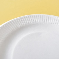 Échantillon gratuit, vaisselle en bagasse écologique, très vendue, assiettes jetables en canne à sucre blanches, plats de traiteur, biodégradables