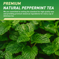 Sachets de thé à la menthe poivrée de qualité supérieure, 20 unités, 100 % naturels, feuilles de menthe séchées, sans caféine, infusion aux herbes, santé digestive, haleine fraîche