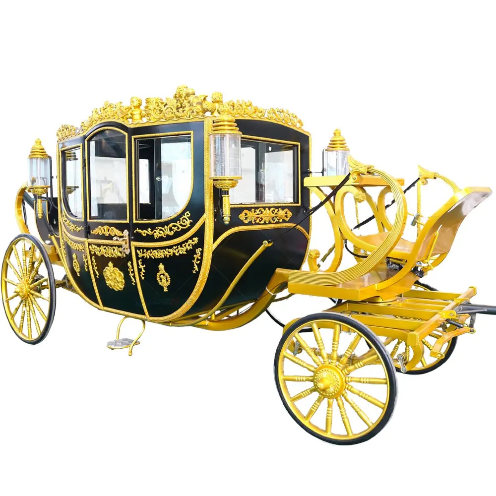 शाही गाड़ी गोल्ड उभरा के साथ काले रंग की पृष्ठभूमि पर है बिक्री/राजकुमार सवारी शाही गाड़ी पर्यटन स्थलों का भ्रमण के लिए