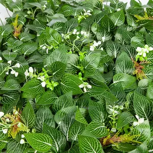 ZC 3D hogar boda interior falso follaje Tropical setos de boj Vertical seda Artificial plástico hierba verde planta decoración de pared