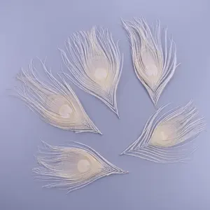 10 pièces/<span class=keywords><strong>lot</strong></span> teint blanc plume <span class=keywords><strong>de</strong></span> paon artisanat 10-15CM 4-6 "fabrication <span class=keywords><strong>de</strong></span> bijoux boucles d'oreilles création décor Xywae marque - Product Image 5