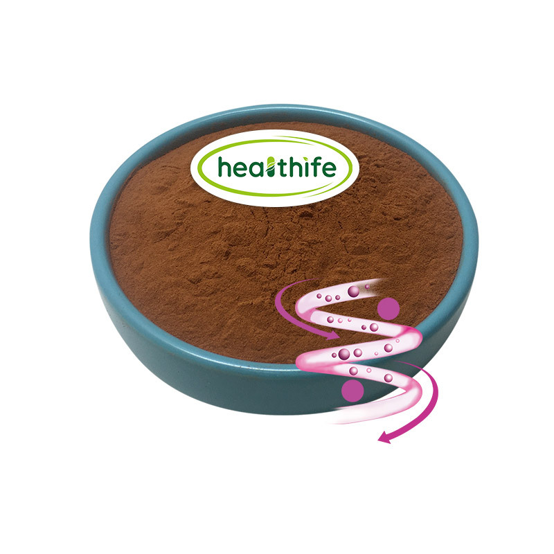 FocusHerb Natural Unsweeted Cocoa Bean Powder