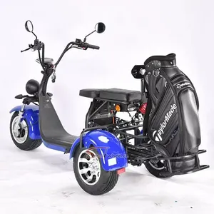 2022 New Design Citycoco 3 wheels golf scooter electric city coco 2000W electric scooter, europe citycoco with EEC