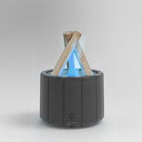 Diffuseur d'huiles essentielles 3D Aromacare, portable, mini, USB, effet feu de camp, flamme colorée, aromathérapie