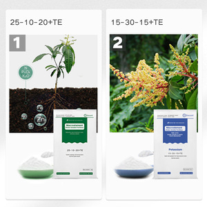 Chương trình phân bón xoài NPK Phân bón hòa tan trong nước Nitơ cao Kali microelement phân bón - Product Image 5