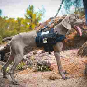 Kustom grosir kualitas tinggi perjalanan luar ruangan dapat disesuaikan hewan peliharaan kucing <span class=keywords><strong>Harness</strong></span> ransel ransel anjing taktis <span class=keywords><strong>Harness</strong></span> ransel - Product Image 5