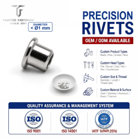 Tianfang Miniature Flat Head Semi Tubular Precision Rivet for Electronic and Computer Fastener Assemblies Factory Direct Supply