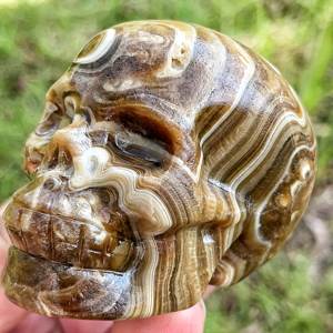 Crânes en calcite chocolat de haute qualité en gros, ornements suspendus, artisanat en cristal scintillant pour la guérison - Product Image 1