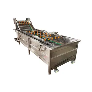 fruits processing line drying with air fan conveyor asparagus ozone fruit and vegetable washer salad leaf vegetables prod