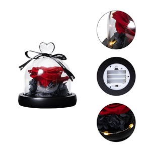 Roses éternelles de haute qualité sous dôme de verre, fleur préservée, plante immortelle, <span class=keywords><strong>la</strong></span> <span class=keywords><strong>belle</strong></span> <span class=keywords><strong>et</strong></span> <span class=keywords><strong>la</strong></span> bête, pour un cadeau de noël - Product Image 3