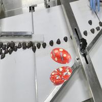 Équipement d'emballage semi-ovale en feuille ondulée pour chocolat, haute efficacité, thermoscellage entièrement automatisé et personnalisé
