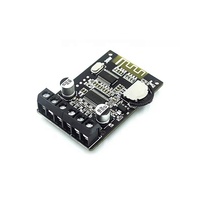 Penguat Daya Stereo Bluetooth 10W/15W/20W 12V/24V Modul Penguat Daya Digital Berdaya Tinggi XY -P15W