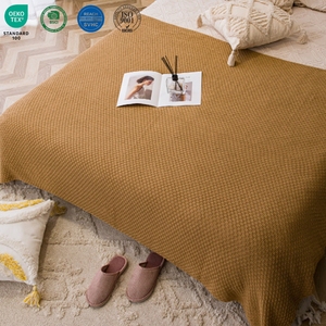 Couverture en tricot texturé en coton, chaude, douce, unie, avec pompons, couverture en tricot douce et confortable pour l'hiver - Product Image 1